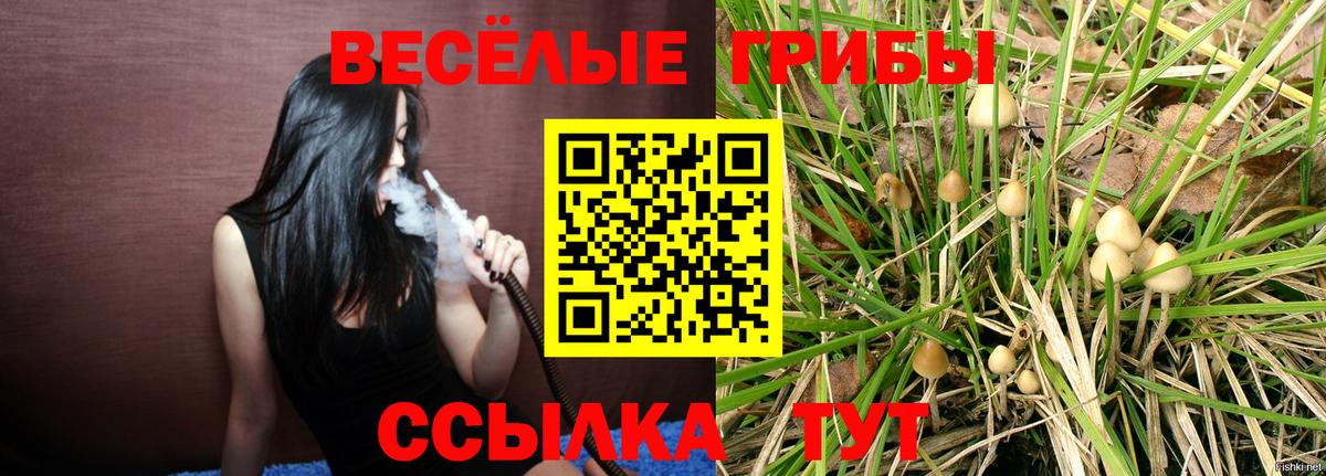 Тосно  Псилоцибиновые грибы прущие грибы  где купить   Псилоцибиновые грибы Magic Shrooms  Вход с VPN 